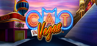 cat in vegas
