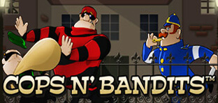 cops n' bandits