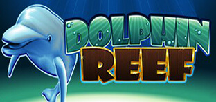 dolphin reef