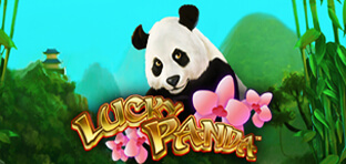 lucky panda