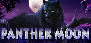 panther moon