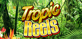 tropic reels