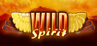 wild spirit